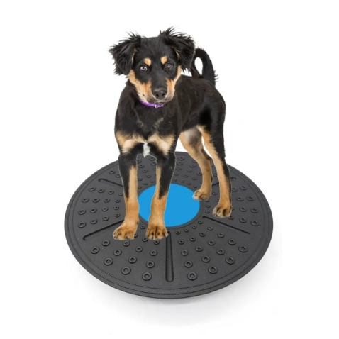 Wobble Board Dog Balance Training Platform