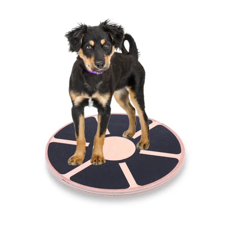 Dog Balance Disc Wobble Board