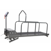 Dog Treadmill