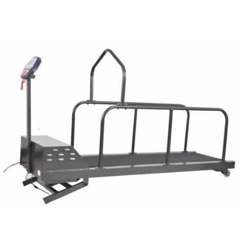 Dog Treadmill