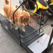 Dog Treadmill Accessories