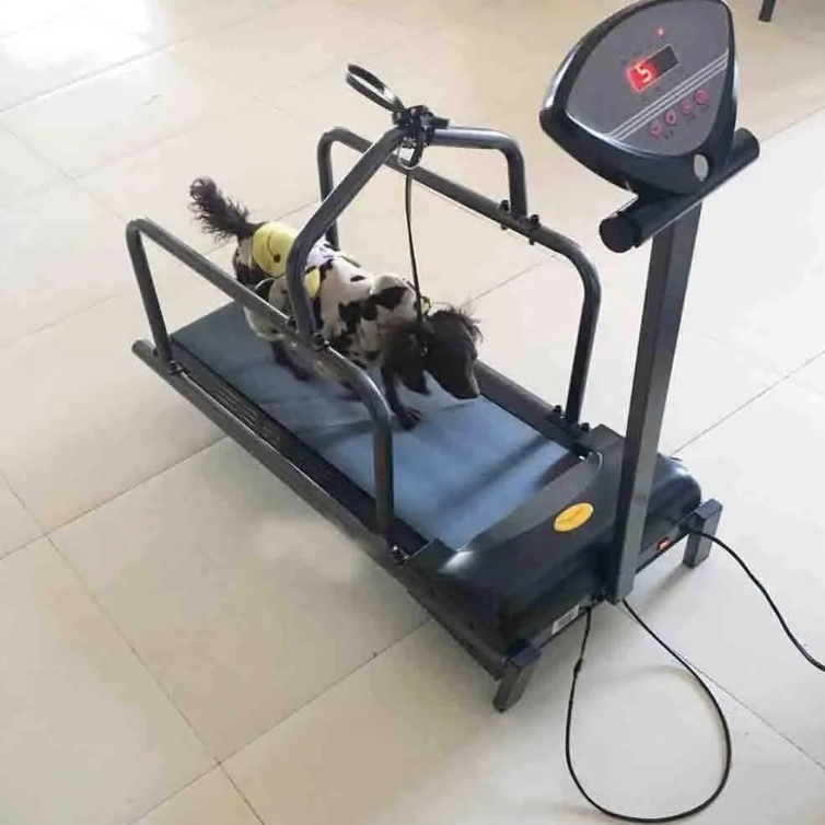 Smart Dog Treadmill