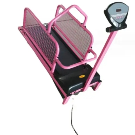 Electric Dog Treadmill