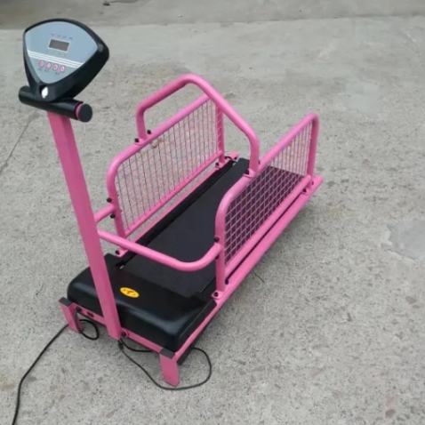 Electric Dog Treadmill
