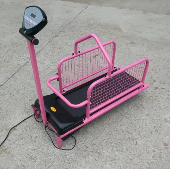 Electric Dog Treadmill