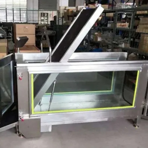 Dog Underwater Treadmill