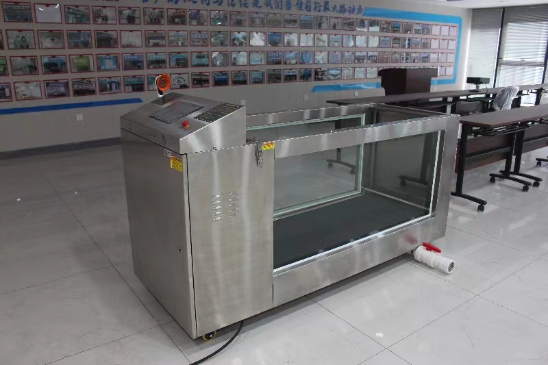 hydrotherapy treadmill for dog