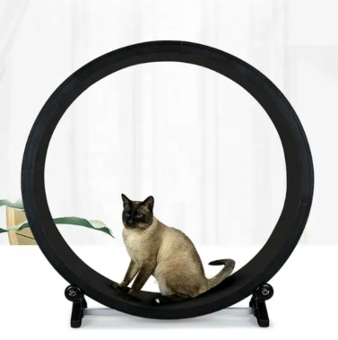 大型猫跑步机