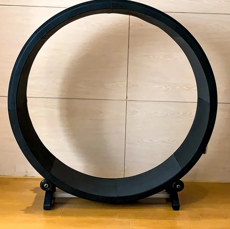 large cat treadmill