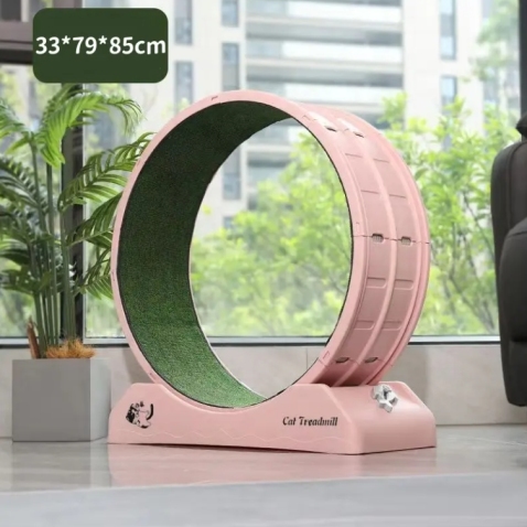 猫运动跑轮
