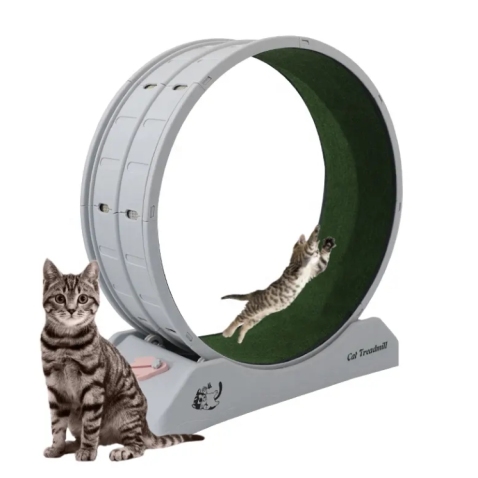 猫运动跑轮