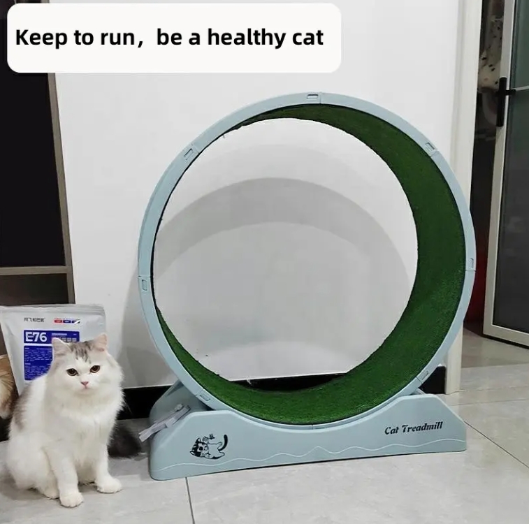 Cat Exercise Running Wheel