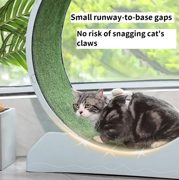 Cat Exercise Running Wheel