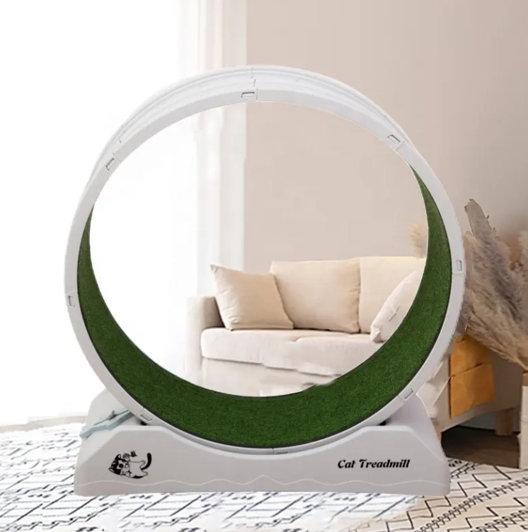 Cat Exercise Running Wheel Treadmill