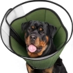 Dog Recovery Cone