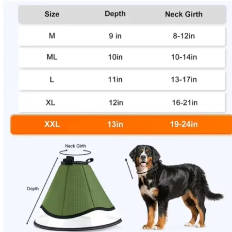 Dog Recovery Cone