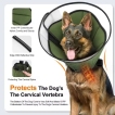 Dog Recovery Cone