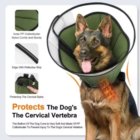Dog Recovery Cone