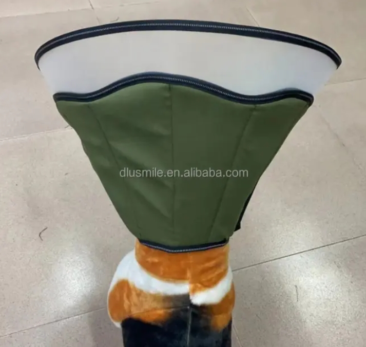 dog recovery cone