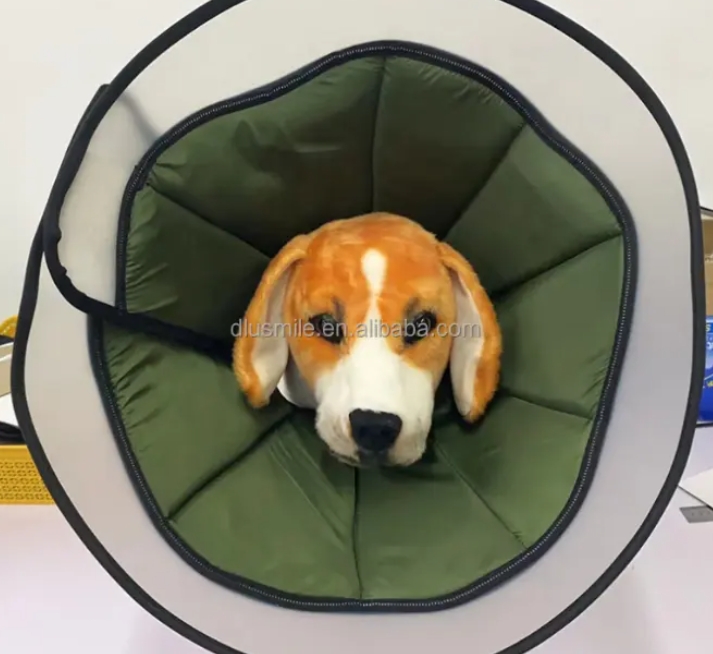 dog recovery cone