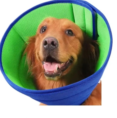 Dog Cone Recovery Collar