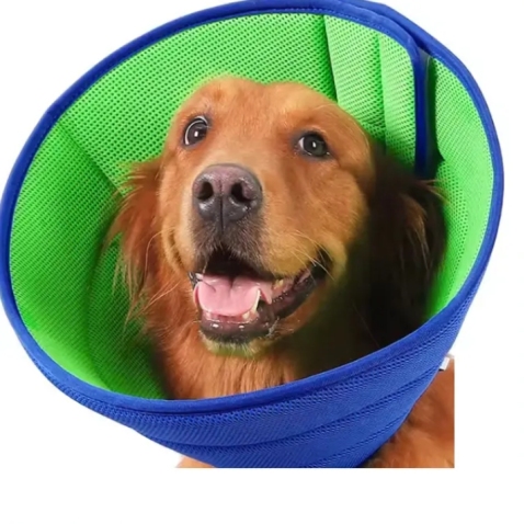 Dog Cone Recovery Collar