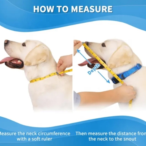 Dog Cone Recovery Collar