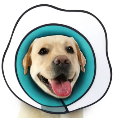 Elizabethan Dog Collar