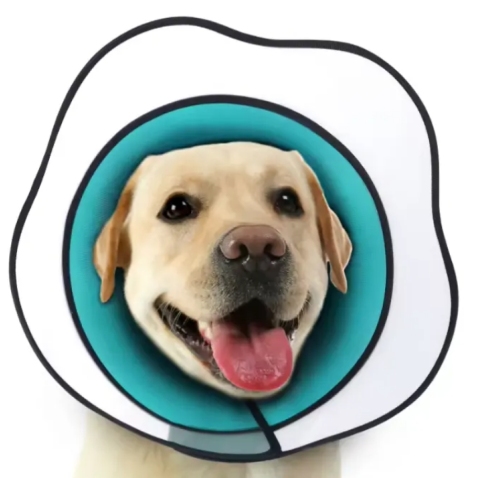 Elizabethan Dog Collar