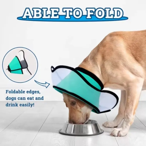 Elizabethan Dog Collar