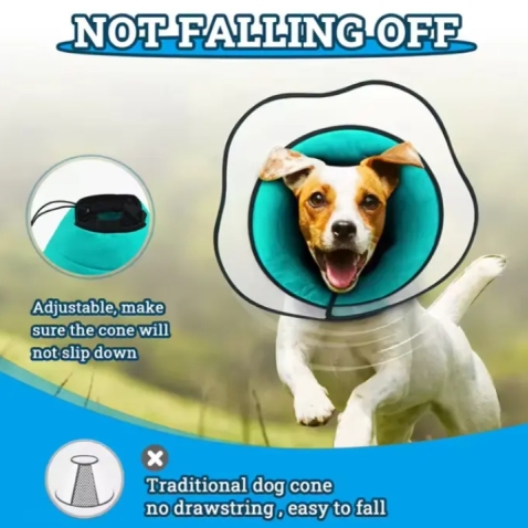 Elizabethan Dog Collar