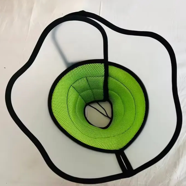 elizabethan dog collar
