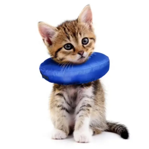 Elizabethan Dog Collar Cone