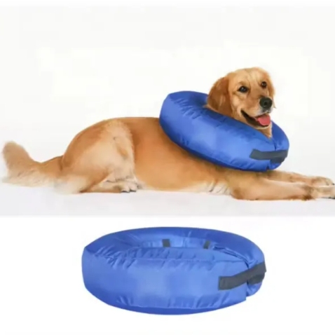 Elizabethan Dog Collar Cone