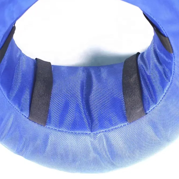 elizabethan collar for dog