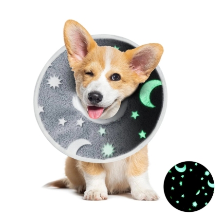 Pet Recovery Collar