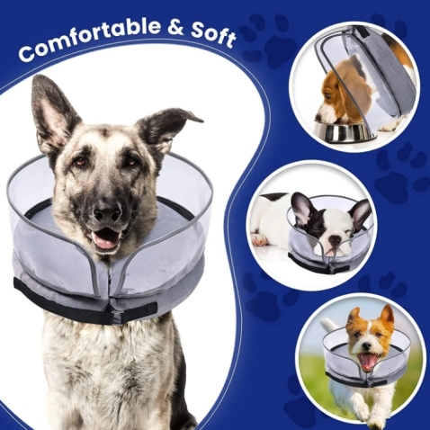 Elizabeth Pet Collar