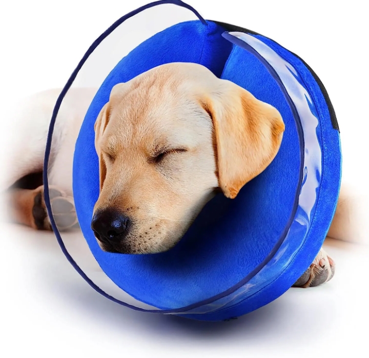Elizabeth Pet Collar