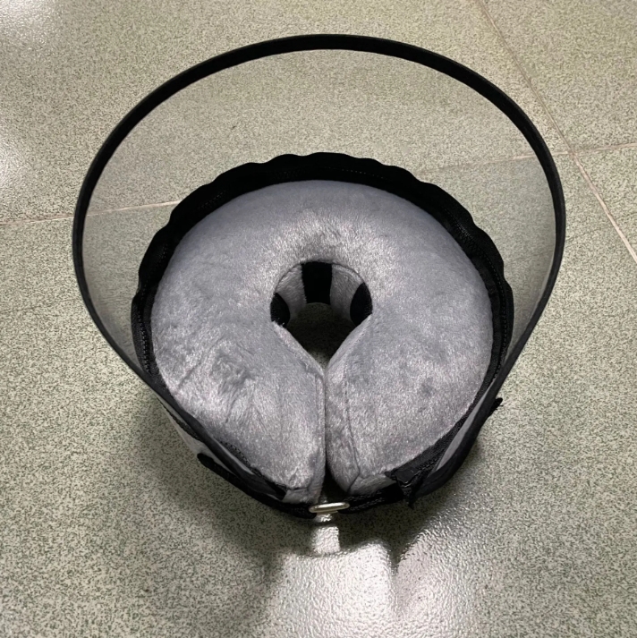 pet elizabethan collar