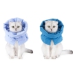 Cat Neuter Recovery Cone