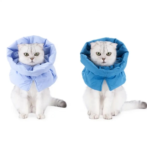 Cat Neuter Recovery Cone
