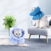 Cat Neuter Recovery Cone