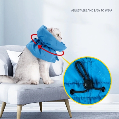 Cat Neuter Recovery Cone