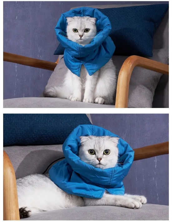 cat neuter recovery cone