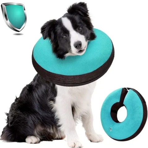 Elizabethan Cat Recovery Collar