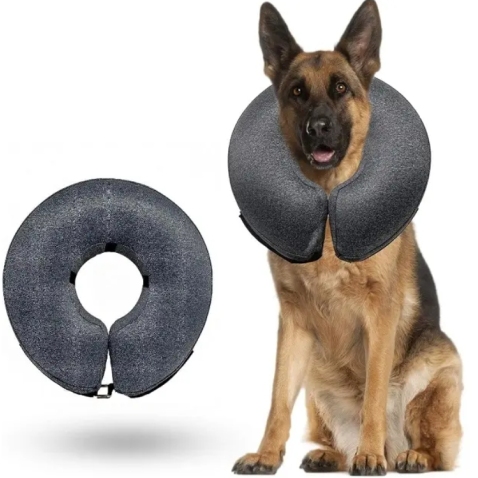 Elizabethan Cat Recovery Collar