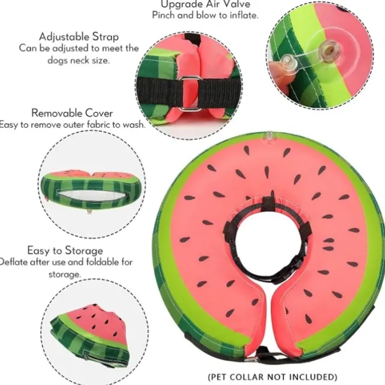 Elizabethan Cat Recovery Collar