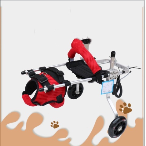 Cat Wheelchair
