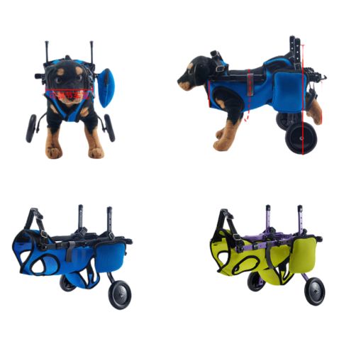 Adjustable Pet Rehabilitation Walking Aid Vehicle
