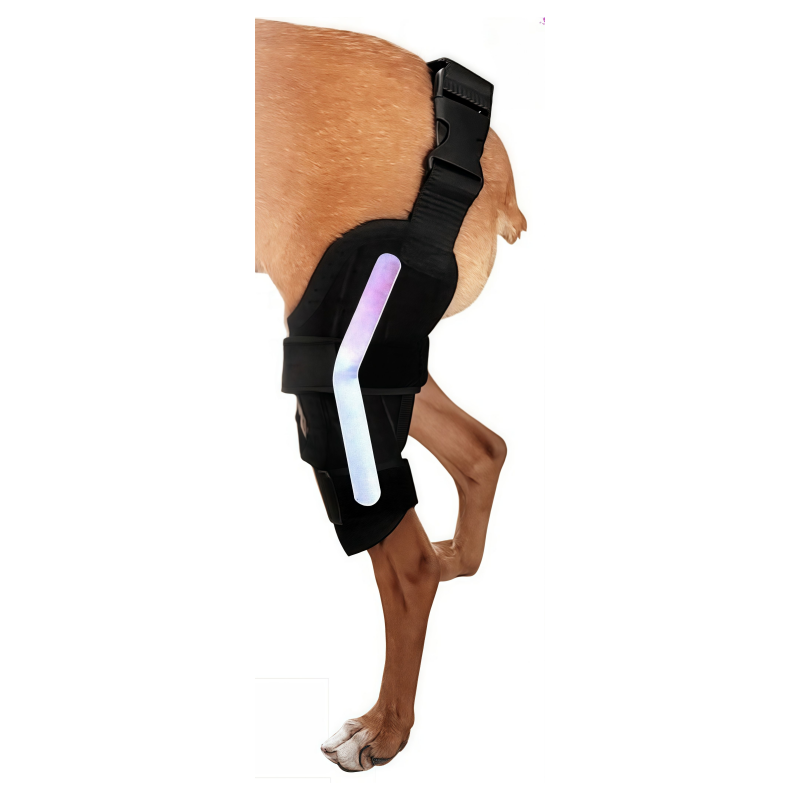 dog acl brace